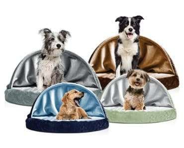 Dogs