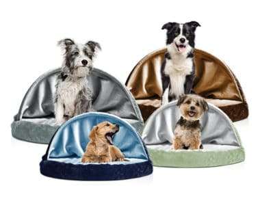 Dogs