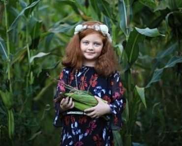 child in cornfield