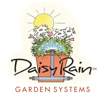 Daisy Rain