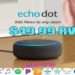 Echo