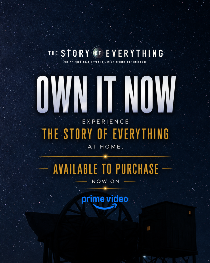 Own It Now banner